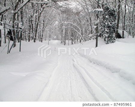 Forest road in a villa area where cars cannot pass due to snow 87495961