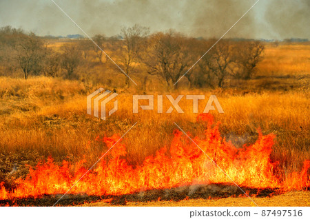 火焰吉燒渡瀨緩凝池 87497516