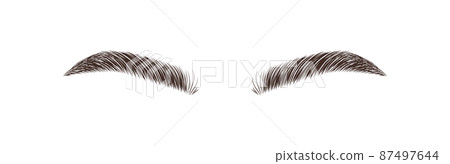 Realistic eyebrows on white background. Permanent make-up and microblading. Brow studio logo. Linear vector Illustration in trendy minimalist style 87497644