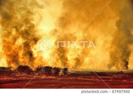 火焰吉燒渡瀨緩凝池 87497980