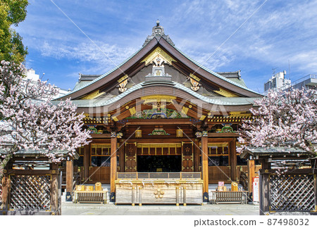 東京湯島天神拜堂梅花節 東京湯島天神拜堂梅花節 87498032
