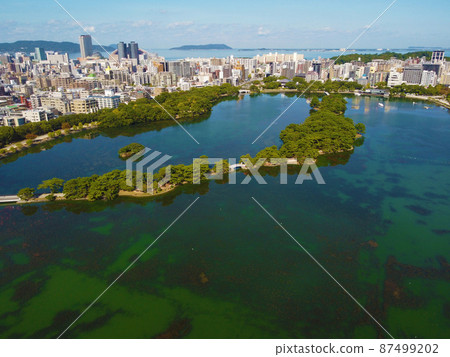 Aerial view of the cityscape of Fukuoka city from Ohori Park with a drone 87499202