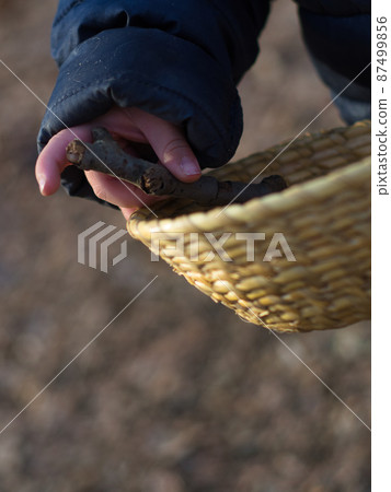 在外面玩，撿樹枝 87499856