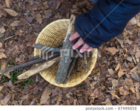 在外面玩，撿樹枝 87499858
