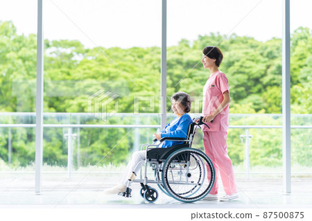 坐輪椅的老年婦女和長期護理人員的中年婦女 坐輪椅的老年婦女和長期護理人員的中年婦女 87500875