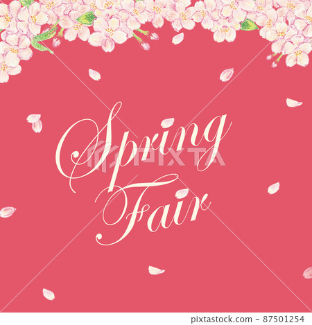 Sakura watercolor pencil background illustration 87501254