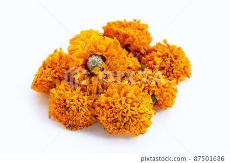 Dried marigold flower on white background. 87501686