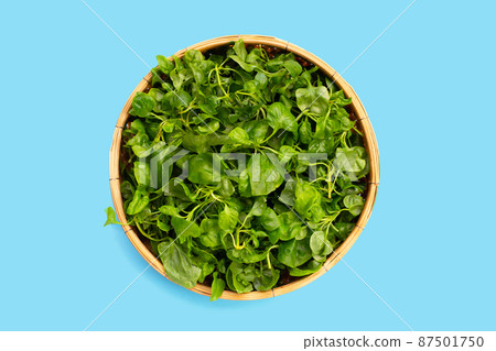 Watercress in bamboo basket on blue background 87501750