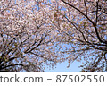 櫻花 87502550