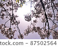 櫻花 87502564