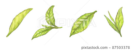 Tea leaves hand-painted 87503378