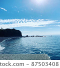 Sea and beach 87503408