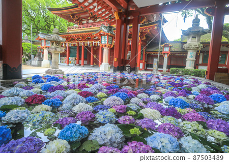 太宰府天滿宮花手水 87503489