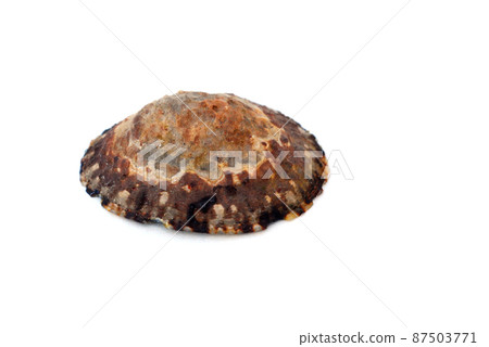 Bekkogasa Bekkogasa 87503771