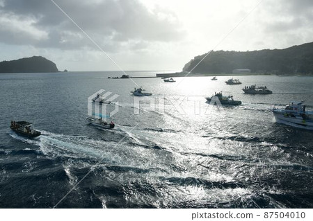 美麗而神秘的東方加拉帕戈斯小笠原 87504010