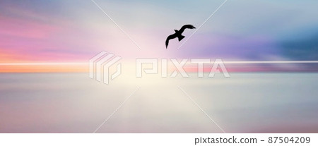 Hope ~ Don't shoot birds ~ 87504209