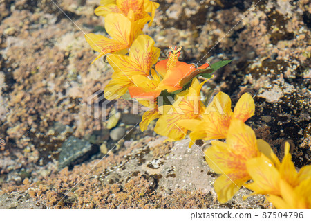 Creative miscellaneous goods Hawaiian lei water surface Creative miscellaneous goods Hawaiian lei water surface 87504796