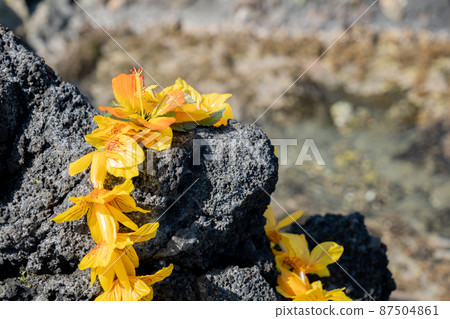 Creative miscellaneous goods Hawaiian lei rock coast handmade Creative miscellaneous goods Hawaiian lei rock coast handmade 87504861