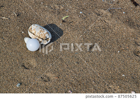 Marine pollution (Takasu beach) Marine pollution (Takasu beach) 87505625