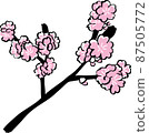 Japanese style illustration of cherry blossoms 87505772