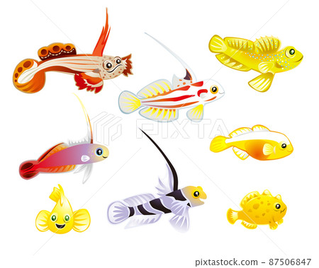 Sea fish (Homurahaze, Hatatatehaze, Yashahaze, etc.) 87506847