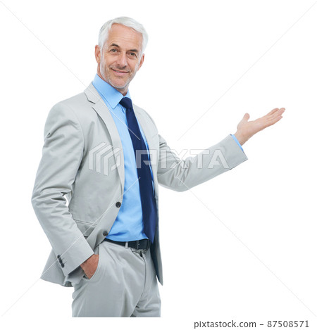 The next big thing in business. Studio portrait of a handsome businessman gesturing to copyspace isolated on white. 87508571