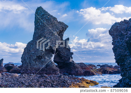 （靜岡縣）南伊豆大野濱怪石和蝦洞 87509036