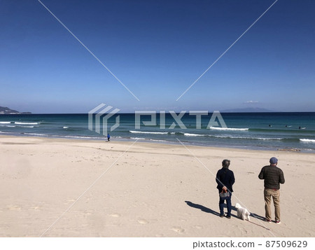 Taking a walk in the sea 87509629