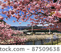 Cherry blossoms and trains 87509638