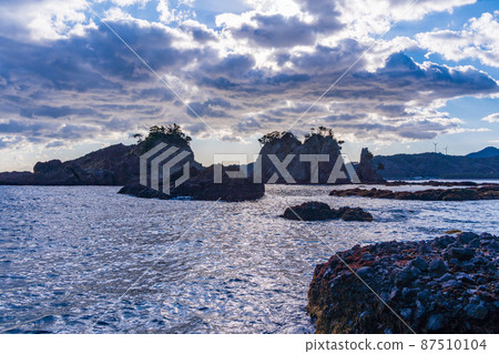 (靜岡縣)南伊豆大野浜的 Shutomeiwa / Suzumeiwa (靜岡縣)南伊豆大野浜的 Shutomeiwa / Suzumeiwa 87510104