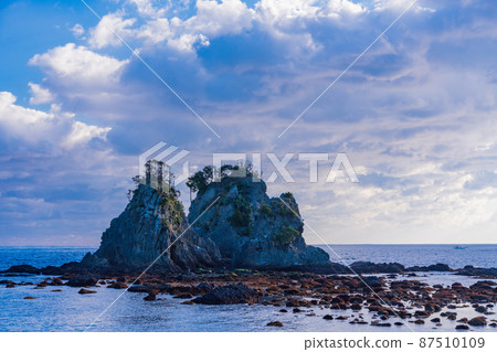 (Shizuoka Prefecture) Minamiizu Ounohama's Shutomeiwa / Suzumeiwa 87510109