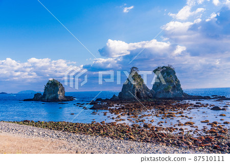 (Shizuoka Prefecture) Minamiizu Ounohama's Shutomeiwa / Suzumeiwa 87510111