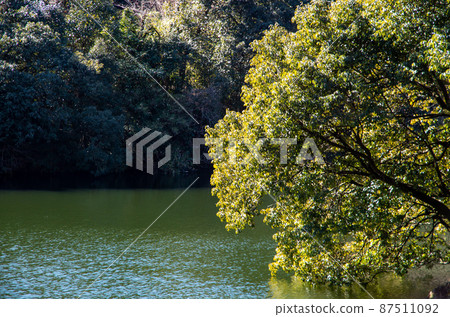 鐮北湖風景 87511092