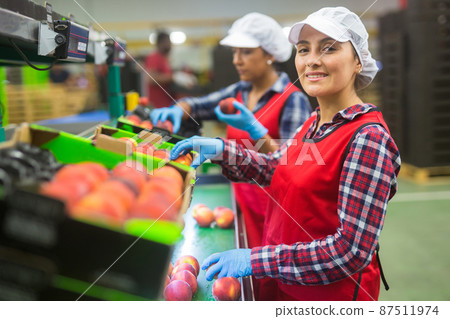 Latina woman sorting peaches at fruit warehouse 87511974