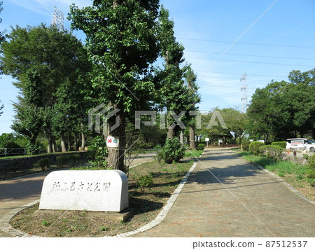 Kashiwa Furusato Park in Kashiwa City, where the green leaves of summer grow Kashiwa Furusato Park in Kashiwa City, where the green leaves of summer grow 87512537