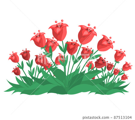 Buds of unblown spring flowers. Green space, gardening, landscape design. Flower bed with red tulips 87513104