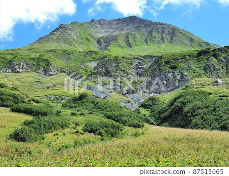 法國環萬寶龍 87515065