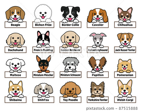 Various dogs with dog breed plates 87515888