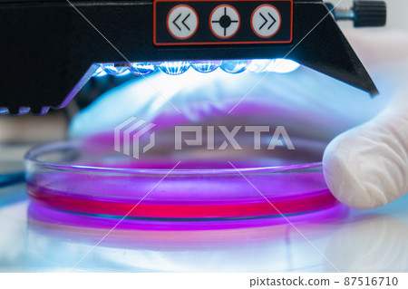 Microscope in a medical research center for analyzing sample. Scientist in rubber gloves testing samples in microchemical laboratory 87516710