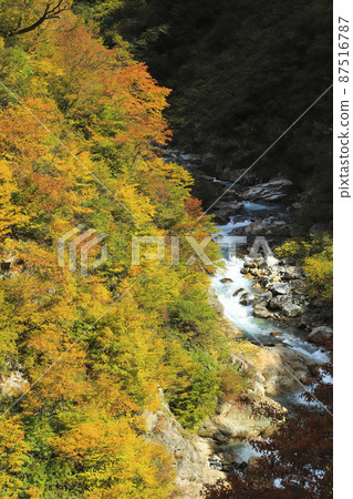 Kurobe Gorge of autumn leaves Keyakidaira Somaya Onsen 87516787