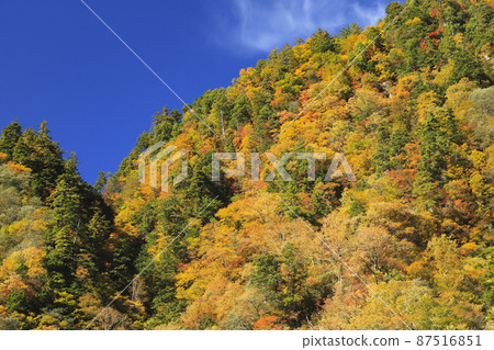 Kurobe Gorge of autumn leaves Keyakidaira Somaya Onsen 87516851