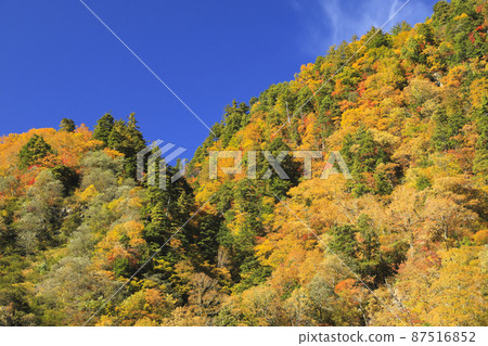 Kurobe Gorge of autumn leaves Keyakidaira Somaya Onsen 87516852