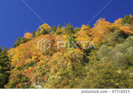 Kurobe Gorge of autumn leaves Keyakidaira Somaya Onsen 87516853