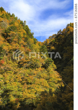 Kurobe Gorge of autumn leaves Keyakidaira Somaya Onsen Kurobe Gorge of autumn leaves Keyakidaira Somaya Onsen 87516866
