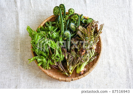 Wild plants 87516943