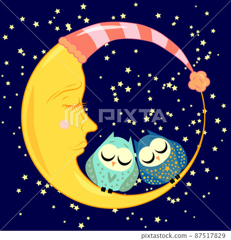 cute cartoon sleeping owl in circles with closed eyes sits on a drowsy crescent among the stars. cute cartoon sleeping owl in circles with closed eyes sits on a drowsy crescent among the stars. 87517829