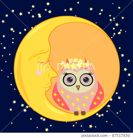 cute cartoon sleeping owl in circles with closed eyes sits on a drowsy crescent among the stars. cute cartoon sleeping owl in circles with closed eyes sits on a drowsy crescent among the stars. 87517830