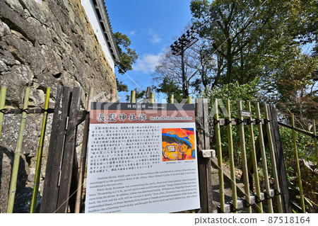 世界遺產國寶姬路城特別開幕“塔周圍和空手門” 世界遺產國寶姬路城特別開幕“塔周圍和空手門” 87518164