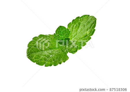 Fresh green sprig of mint isolated on white background. Close up, copy space Fresh green sprig of mint isolated on white background. Close up, copy space 87518306