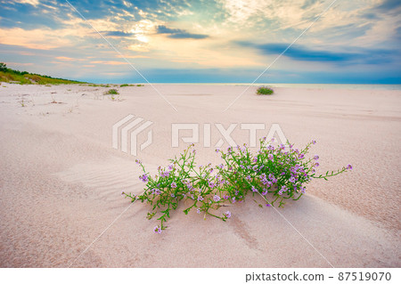 Sunset at the Baltic Sea Beach, Latvia seashore 87519070